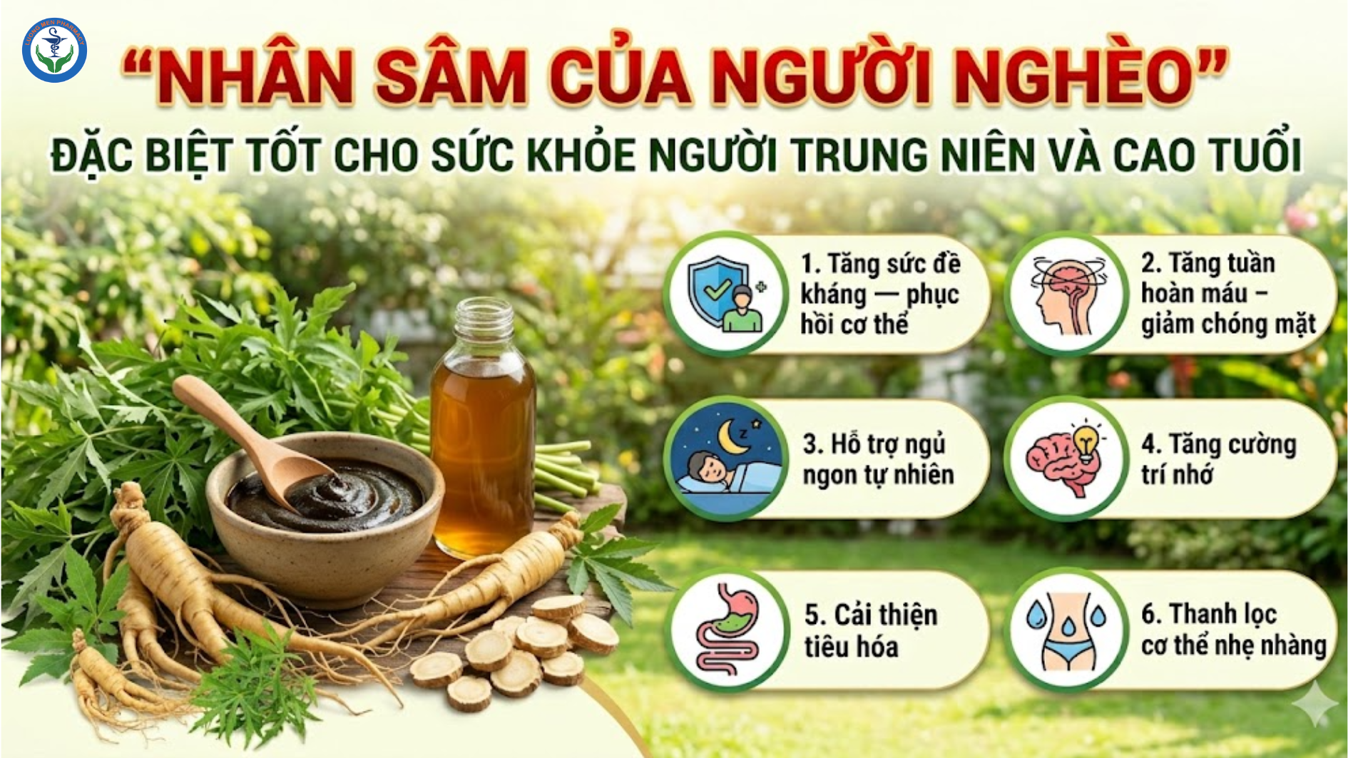 Đừng Bỏ Qua Loại Lá Này – Trà Đinh Lăng Giúp Tăng Tuần Hoàn, Hỗ Trợ Phòng Đột Quỵ